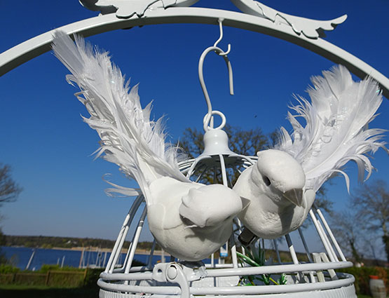 Tauben Hochzeit mieten, Hochzeitsdekoration mieten, Hochzeit mieten, Rund um Ihre Hochzeit berlin